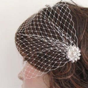 Birdcage Veil- brand new